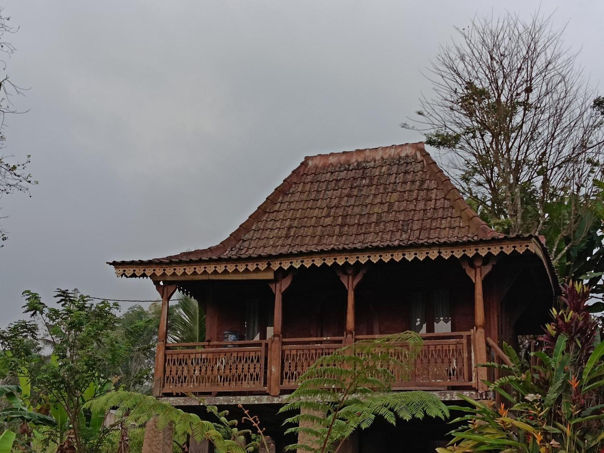 ג'טילווי D'Ume Bendoel Homestay מראה חיצוני תמונה