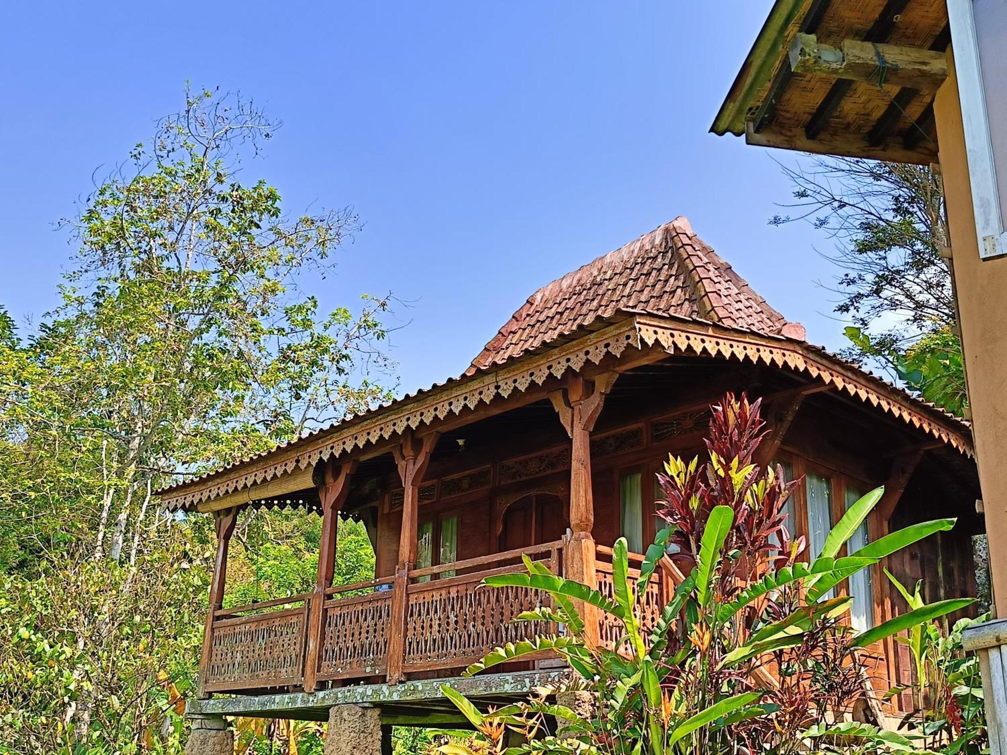 ג'טילווי D'Ume Bendoel Homestay מראה חיצוני תמונה