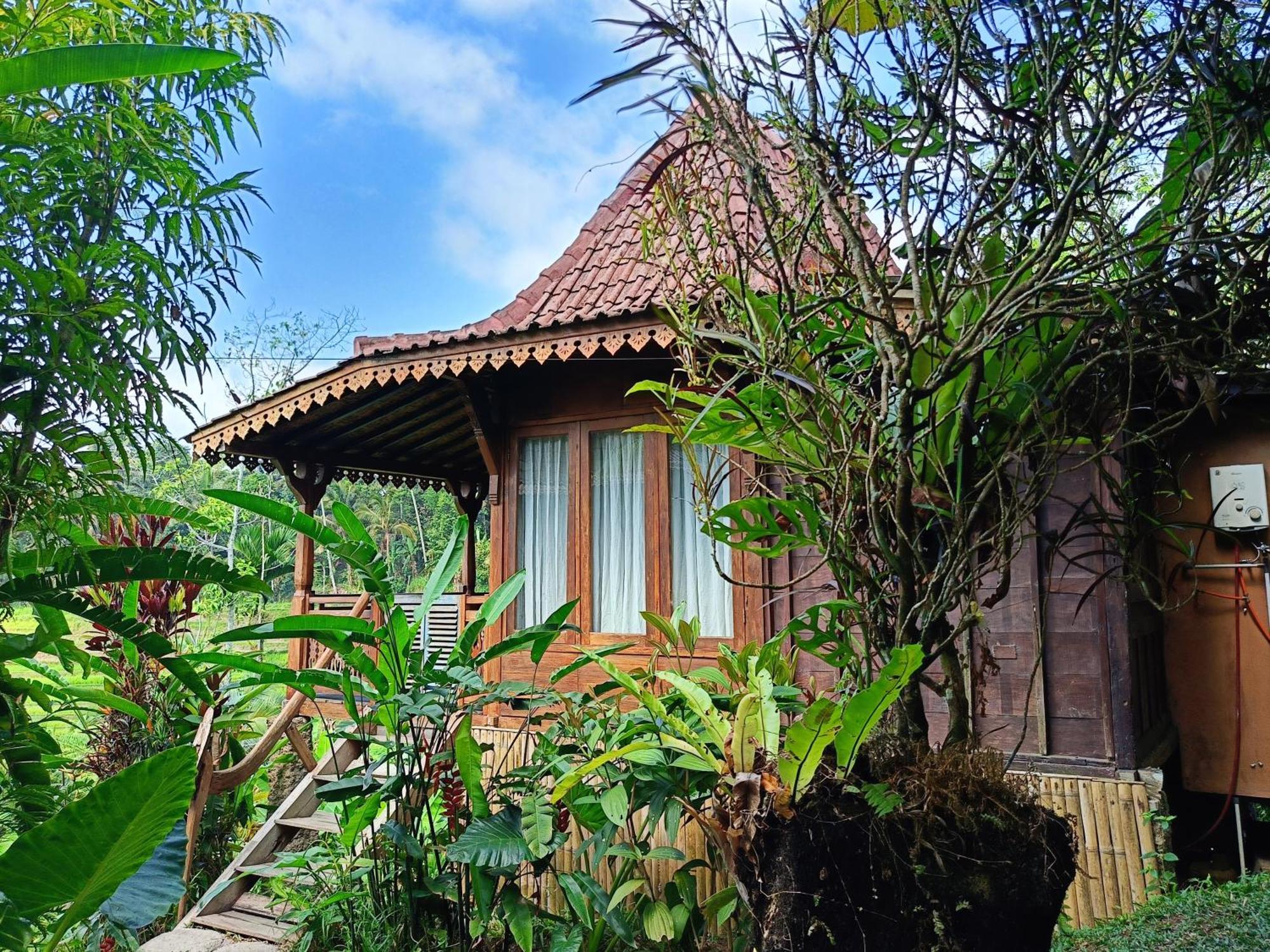 ג'טילווי D'Ume Bendoel Homestay מראה חיצוני תמונה