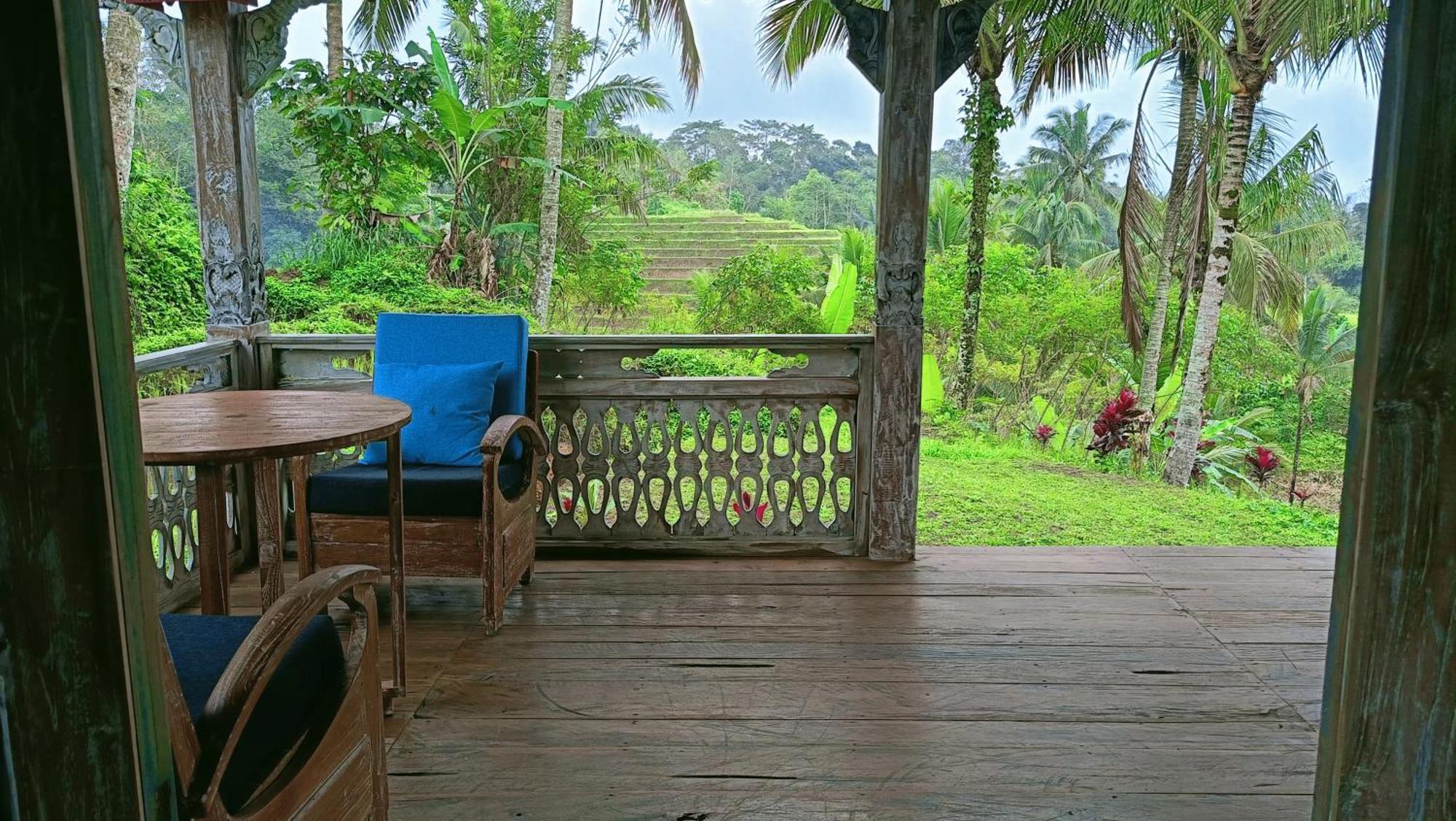 ג'טילווי D'Ume Bendoel Homestay מראה חיצוני תמונה
