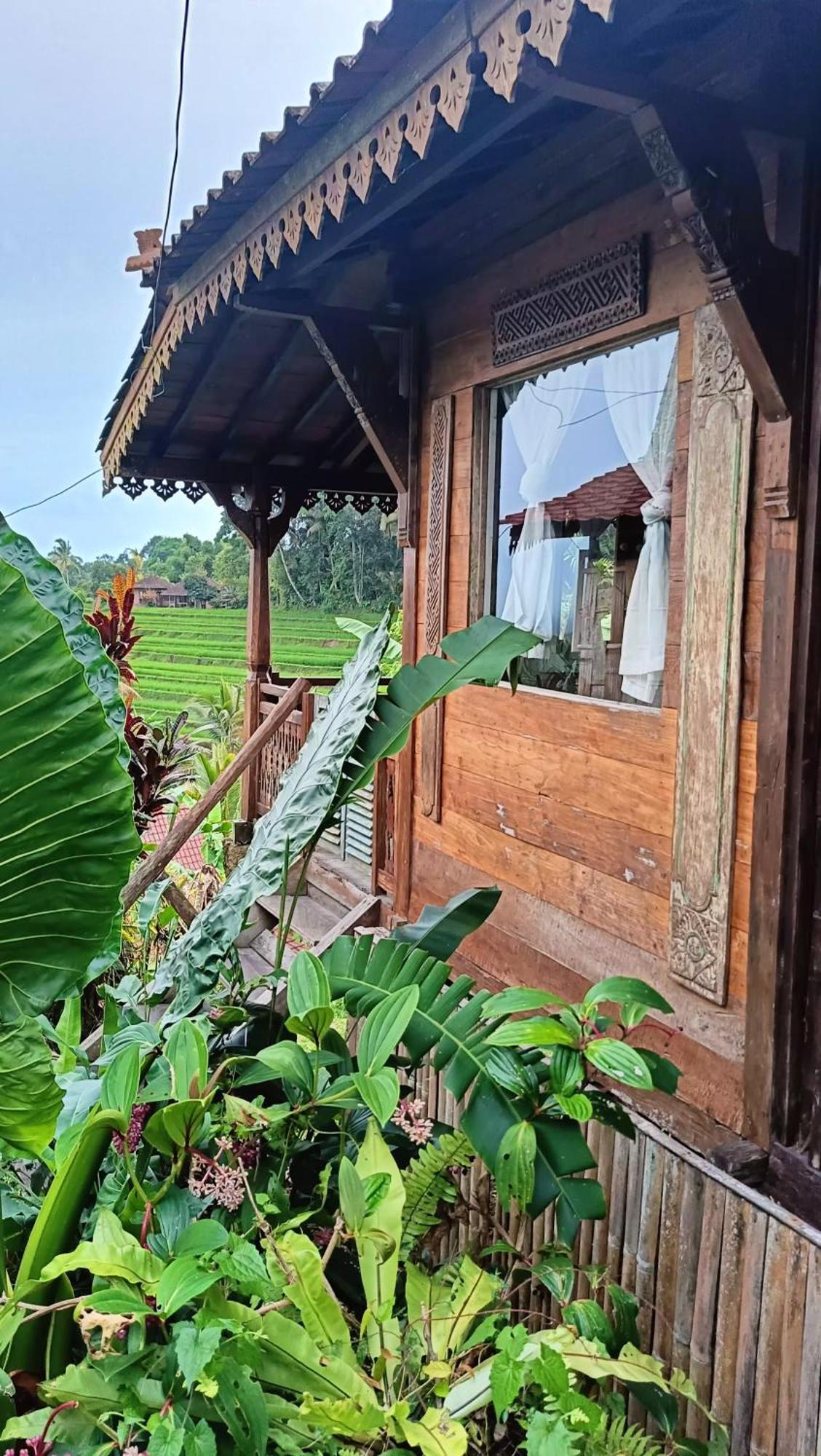 ג'טילווי D'Ume Bendoel Homestay מראה חיצוני תמונה